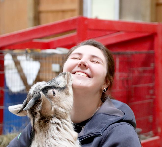 Farm Animals at The Blue Bruce - Weddings | Bed & Breakfast | Events Near St. Jacobs Ontario